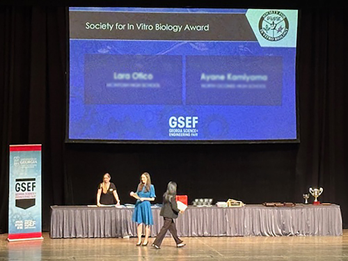 GSEF